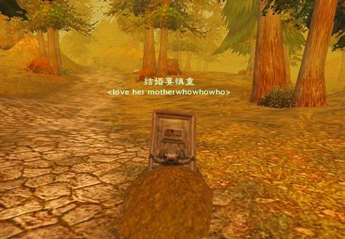 魔兽世界 魔兽世界